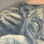 Tattoos - The Lions Den Lion Pride back piece by Haylo  - 141220