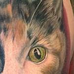 Tattoos - Cat Portrait tattoo by Haylo  - 141589