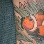 Tattoos - Clownfish tattoo by Haylo  - 141192