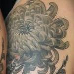 Tattoos - Floral black and gray half sleeve tattoo by Haylo - 141614