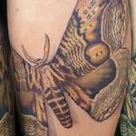 Tattoos - Giant Moth leg tattoo by Haylo - 141613