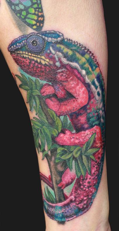 Awesome Chameleon Tattoo Idea  Chameleon tattoo Lion tattoo Tribal  tattoos