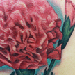 Tattoos - Carnation tattoo - 99042