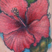 Tattoos - Hibiscus tattoo - 75978