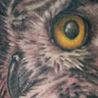 Tattoos - Owl Tattoo - 79923
