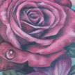 Tattoos - Rose and Violet tattoo - 92129