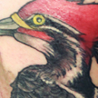 Tattoos - Woodpecker tattoo - 92144