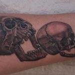 Skull Eat Skull Eat Skull Tattoo Design Thumbnail