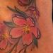 Tattoos - Cherry Blossom Tattoo - 77274