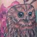 Tattoos - Baby Owl Tattoo - 77277