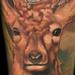 Tattoos - Deer Tattoo - 87522