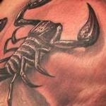 Tattoos - Custome Skull Scorpion Rose Tattoo - 114284