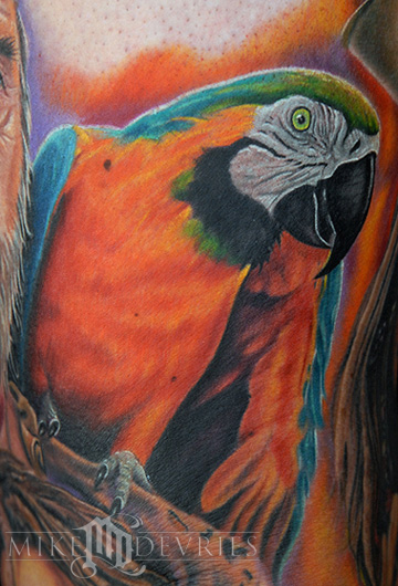 Neo-Traditional Parrot Tattoo | babyhandstattoo
