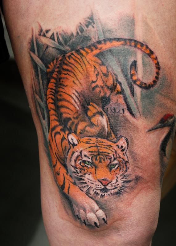 Tattoo of Tigers Animals Chest