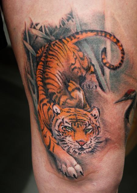 Every tiger has a tale A unique tattoo art project  Hindustan Times