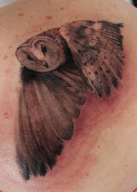 Hedwig by Mallory Helpling at Native Ink Tattoo in Elwood, IN : r/tattoos