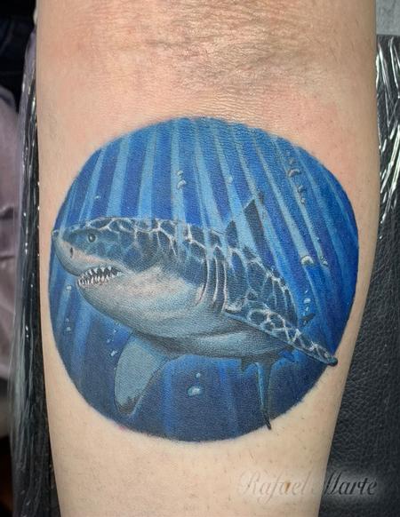 tattoos/ - Realistic Shark under Blue Water Tattoo - 142350