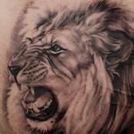 Tattoos -  Lion Around - 114274