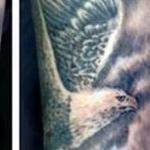 Tattoos - Black and Gray Eagle Tattoo - 117421