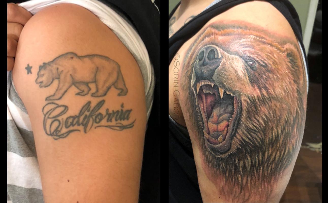 7354 Grizzly Bear Tattoo Images Stock Photos  Vectors  Shutterstock