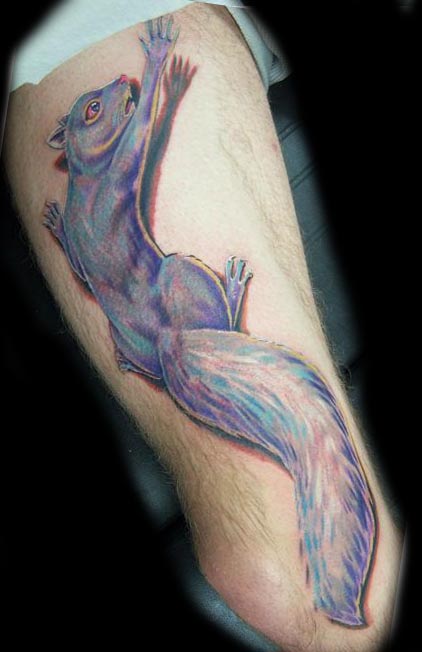 The squirrel tattoo meaning features of the picture photo sketches