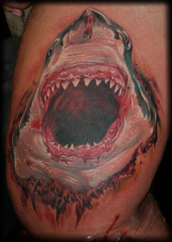 First tattoo Great white shark  by Dan  Alchemy tattoos Hawthorn  Melbourne  rtattoos