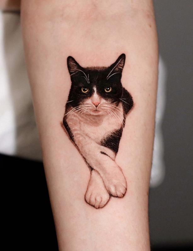 TATTOOSORG  Realistic Cat Tattoo Do you think my cat approves