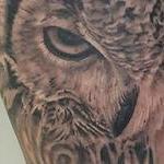 Tattoos - Owl and exvoto heart - 133704