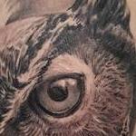 Tattoos - Owl and forest - 134987