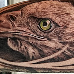 Tattoos - Eagle  - 144904