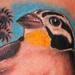 Tattoos - Finch - 60386