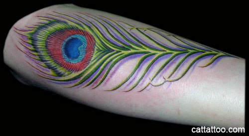 Peacock Feather by Terry Mayo : Tattoos