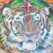 Prints-For-Sale - Tibetan Tiger - 23591