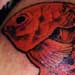 Tattoos - Red Coi - 6608