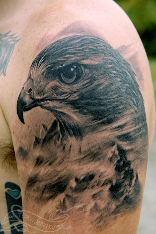 Jeff Norton Tattoos  Tattoos  Body Part Arm  Red tail hawk