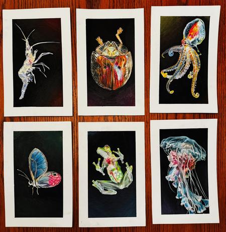 Art Galleries - Drawings - 148471