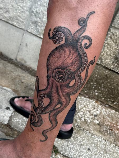 tattoos/ - Octopus - 146355
