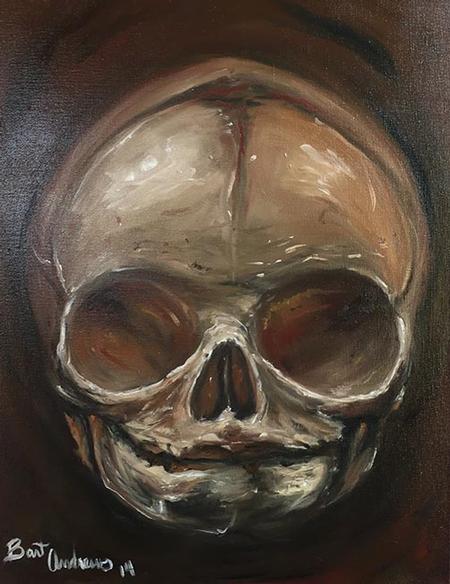 Art Galleries - Fetal Skull - 117051